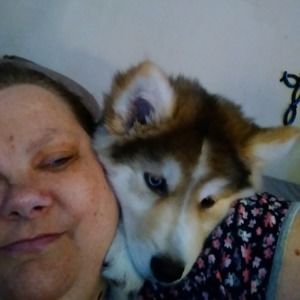 Meet your Posher, Deann